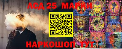 альфа пвп Новодвинск