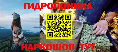 дурь Новозыбков