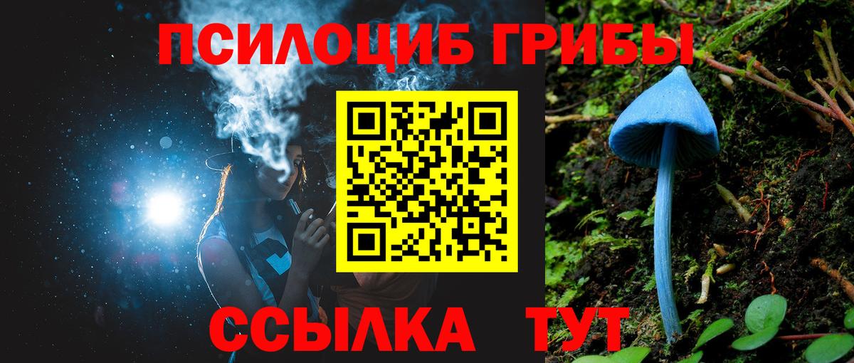 Галлюциногенные грибы MAGIC MUSHROOMS Кинель